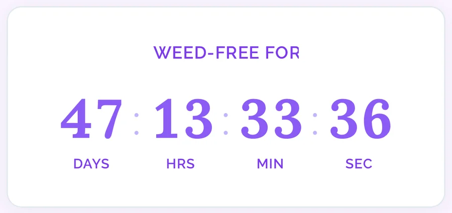 The counter in the app: 47 days, 13 hours, 33 minutes, 36 seconds